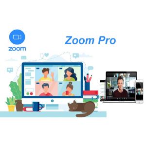 Zoom Meeting Pro - 1 năm giá tốt